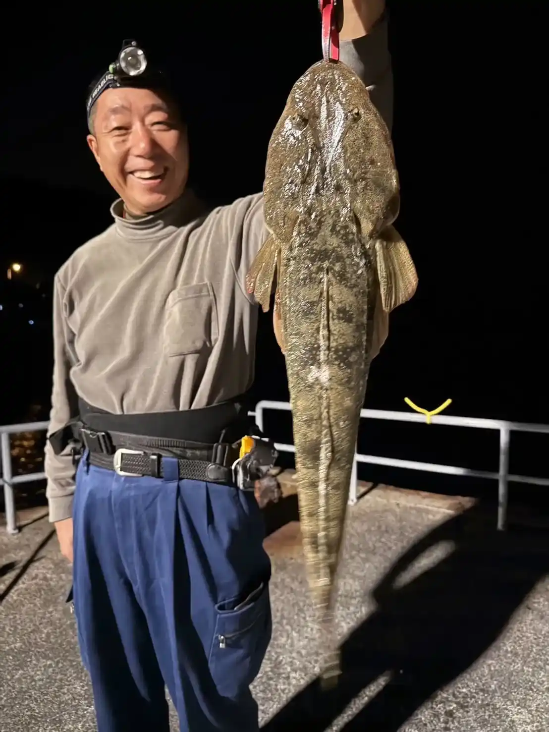 マゴチの釣果